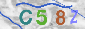 CAPTCHA-Bild